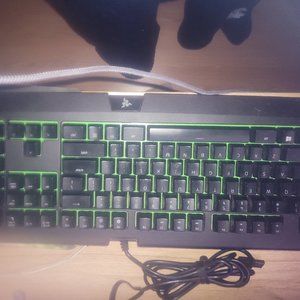 Razer Blackwidow Keyboard